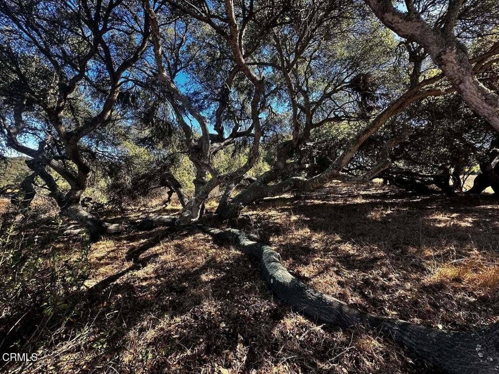 1990 Tularosa Road #4, Lompoc, CA 93436 20261014031155202780000000-o