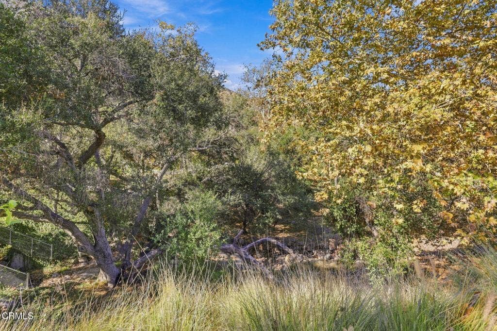 1261 San Como Lane, Camarillo, CA 93012 Trees forever