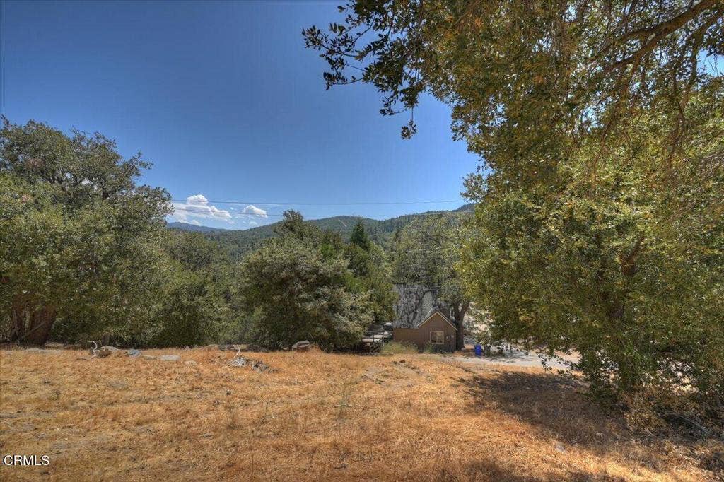196 Balsam Drive, Cedar Glen, CA 92321 34-Views