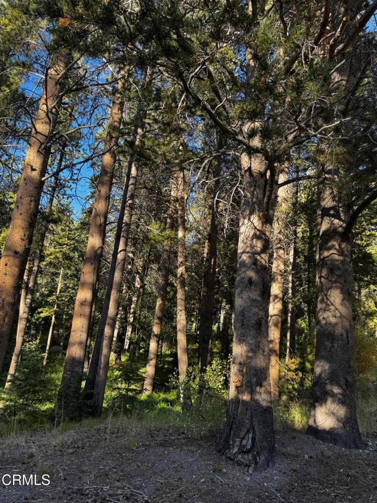Property photo for Minaret Road, June Lake, CA
