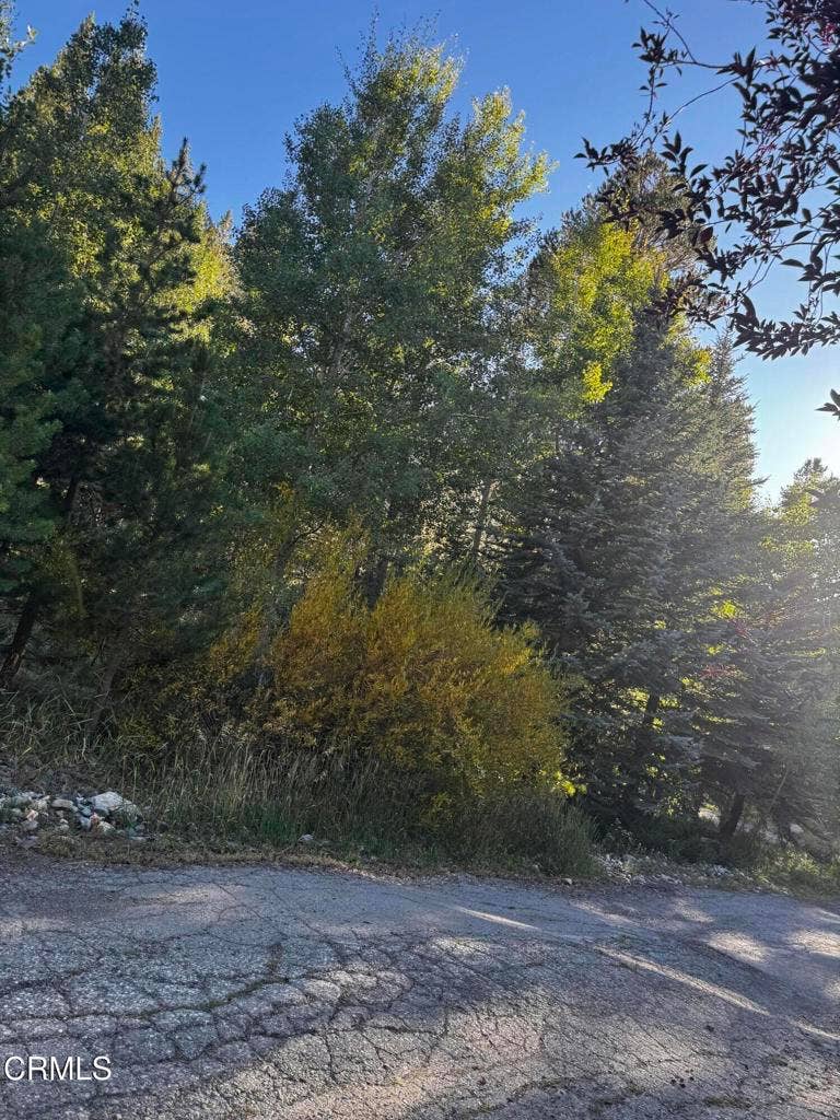 Property photo for Minaret Road, June Lake, CA