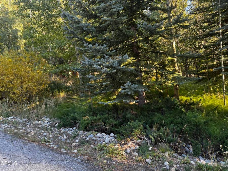Property photo for Minaret Road, June Lake, CA