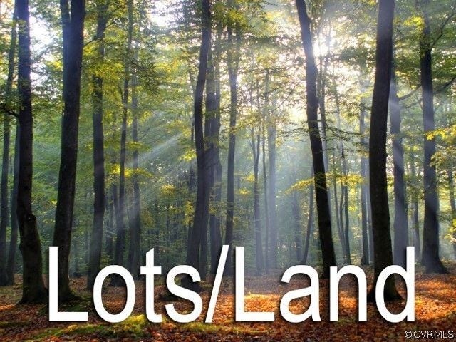 Property photo for 0 Cedar Plains Road, Goochland, VA