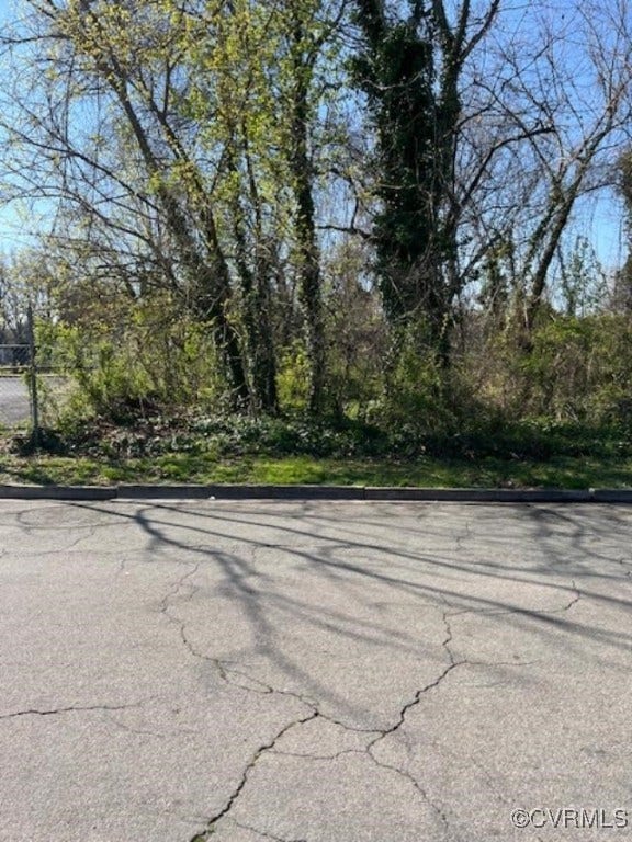 513 Savannah Avenue, Edwards Park, Richmond, VA 23222 View of street