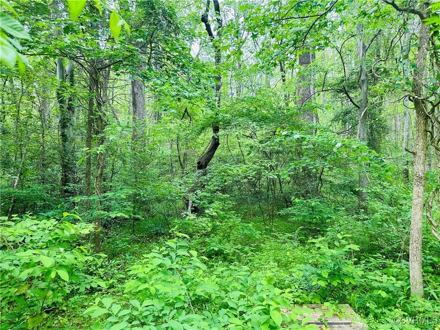 Property photo for 0 Pouncey Tract Road, Hanover, VA