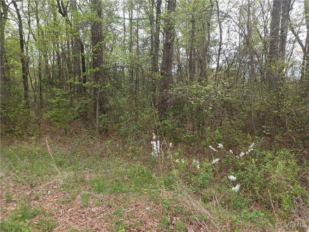 12332 E Booker Boulevard, Chester, VA 23831 12332 E Booker Boulevard, Chester, VA 23831