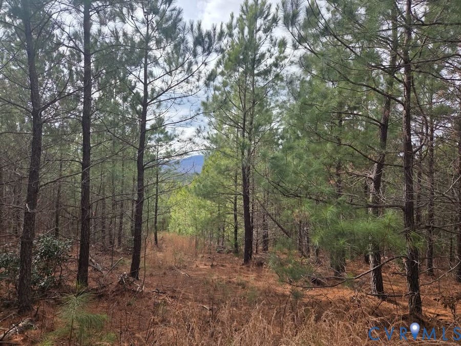 Property photo for Lot 12 Secretarys Sand Road, Schuyler, VA
