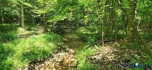 1370 Jasmine Road, Rock Castle, Goochland, VA 23063 1370 Jasmine Road, Rock Castle, Goochland, VA 23063