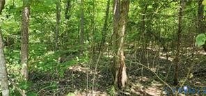 1380 Jasmine Road, Rock Castle, Goochland, VA 23063 1380 Jasmine Road, Rock Castle, Goochland, VA 23063