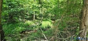 1380 Jasmine Road, Rock Castle, Goochland, VA 23063 1380 Jasmine Road, Rock Castle, Goochland, VA 23063