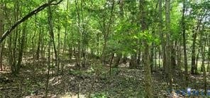 1380 Jasmine Road, Rock Castle, Goochland, VA 23063 1380 Jasmine Road, Rock Castle, Goochland, VA 23063