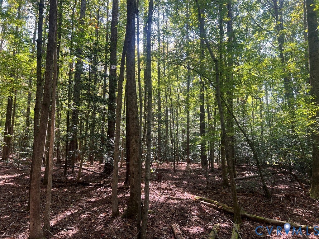1981 Urbine Road, Powhatan, VA 23139 1981 Urbine Road, Powhatan, VA 23139