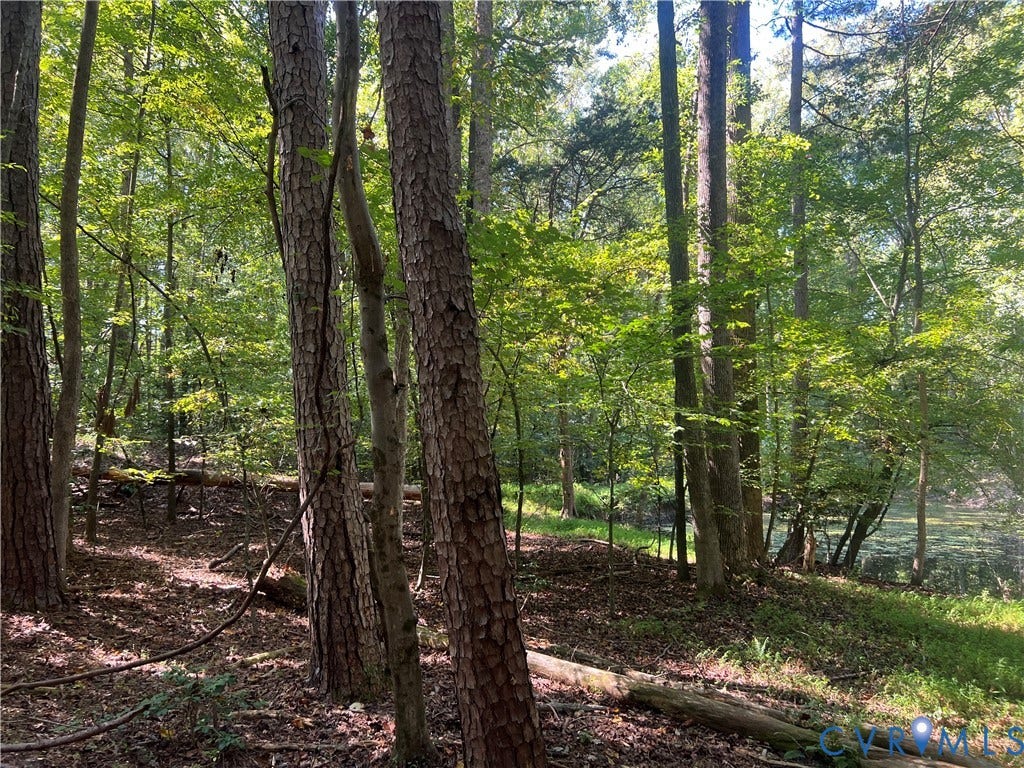 1981 Urbine Road, Powhatan, VA 23139 1981 Urbine Road, Powhatan, VA 23139