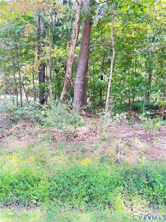 Property photo for 0 Gatewood Road, Woodford, VA