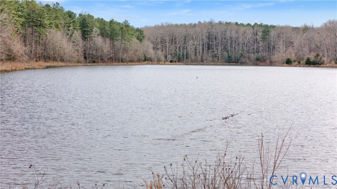 3016 Maple Lake Road, Powhatan, VA 23139 3016 Maple Lake Road, Powhatan, VA 23139