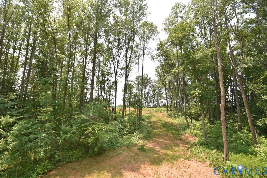 53 Porkchop Court, Louisa, VA 23093 Wooded property with mature trees and a sloped, cleared path