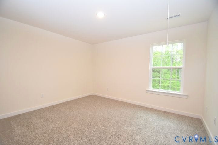 54 Porkchop Court, Louisa, VA 23093 Neutral-toned walls complement the light-colored carpeting