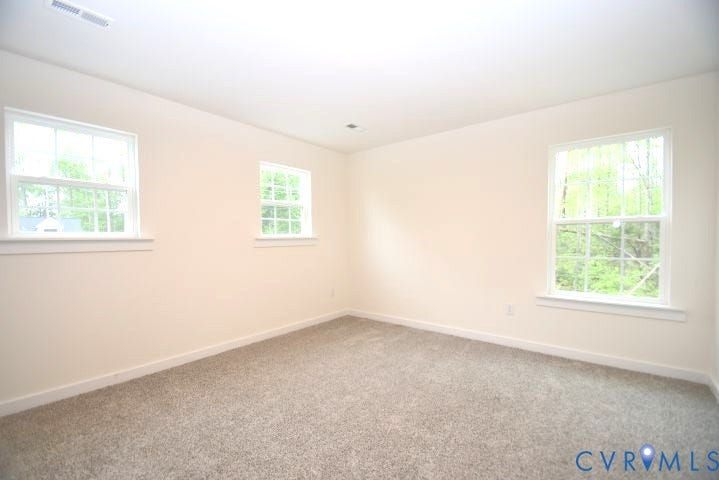 54 Porkchop Court, Louisa, VA 23093 Neutral toned walls, gray carpet flooring, and multiple windows