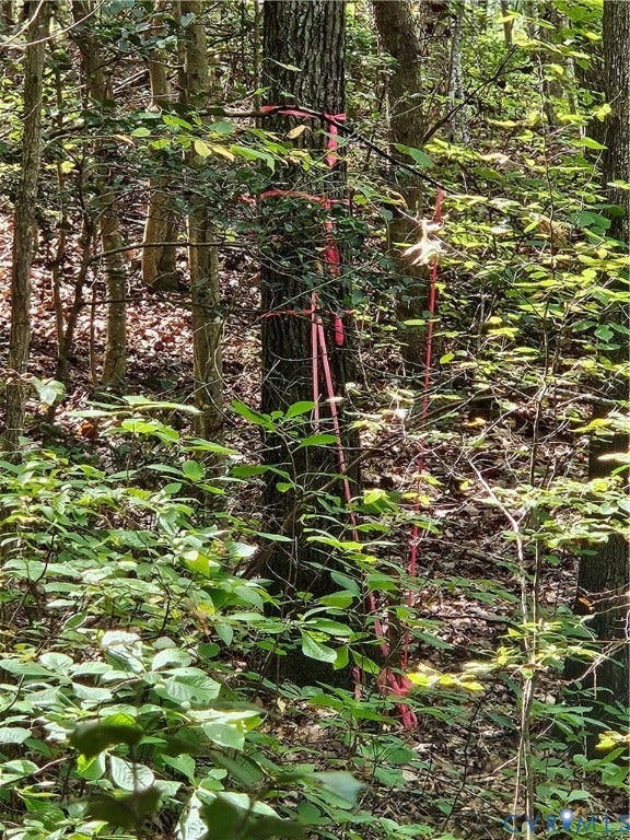 Property photo for 00 Off of Long Branch Road, Woodford, VA