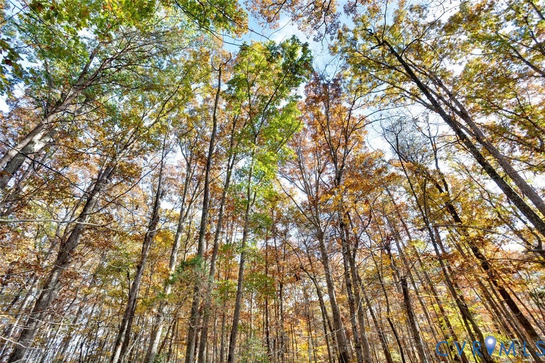 Lot 2 Maidens Road, Maidens, VA 23102 View of local wilderness