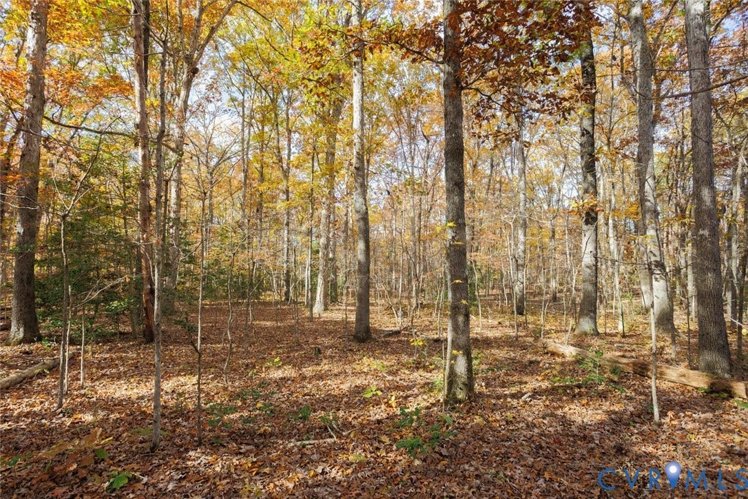 Lot 2 Maidens Road, Maidens, VA 23102 View of tree filled area