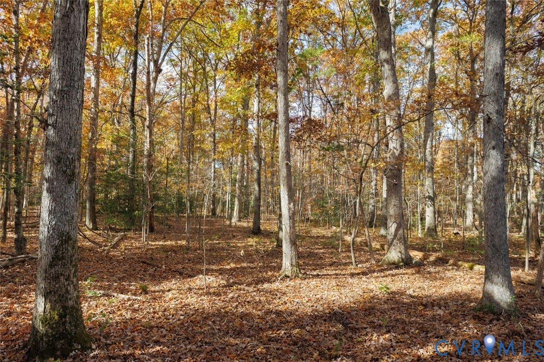 Lot 2 Maidens Road, Maidens, VA 23102 View of wooded area