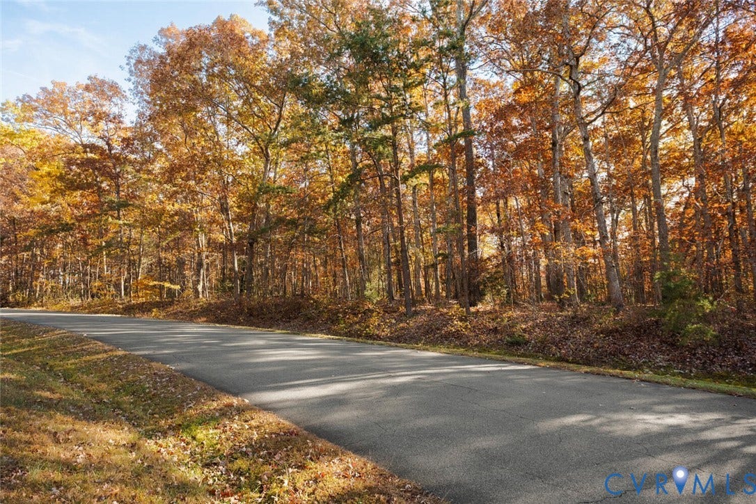Lot 2 Maidens Road, Maidens, VA 23102 View of road with a wooded view