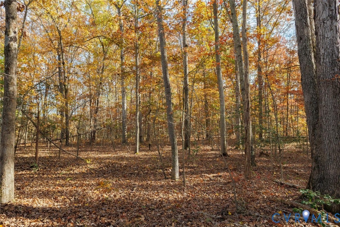 Lot 2 Maidens Road, Maidens, VA 23102 View of woods
