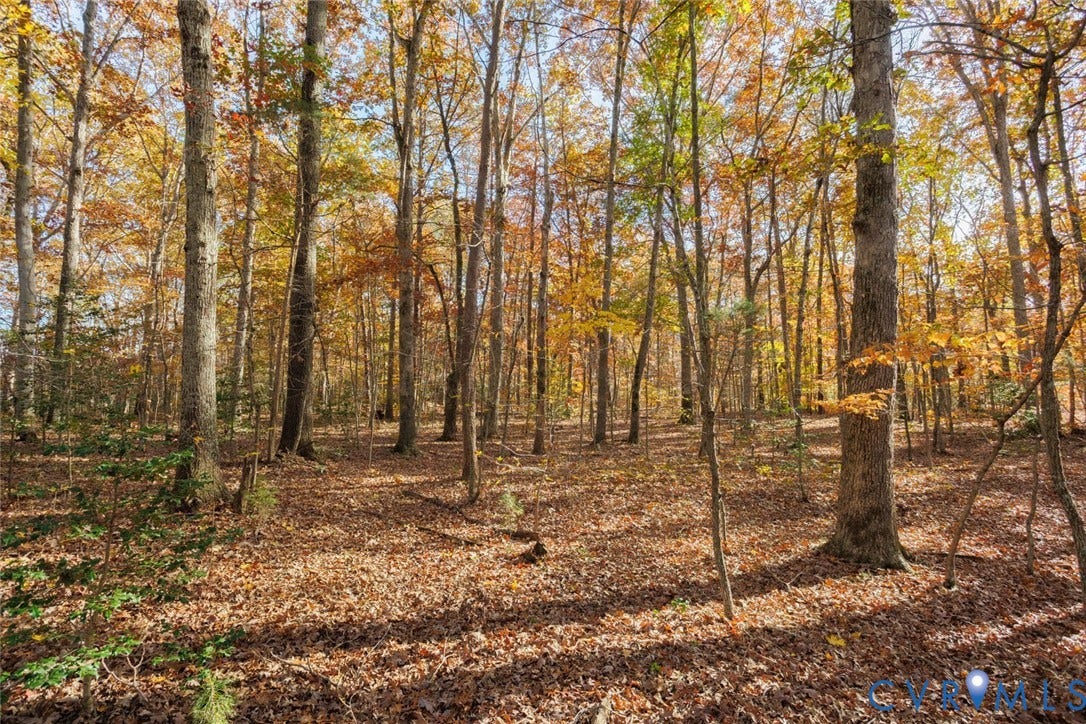Lot 2 Maidens Road, Maidens, VA 23102 View of wooded area
