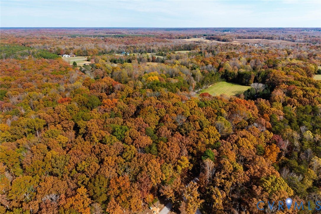 Lot 2 Maidens Road, Maidens, VA 23102 Aerial view of property and surrounding area featuring a forest