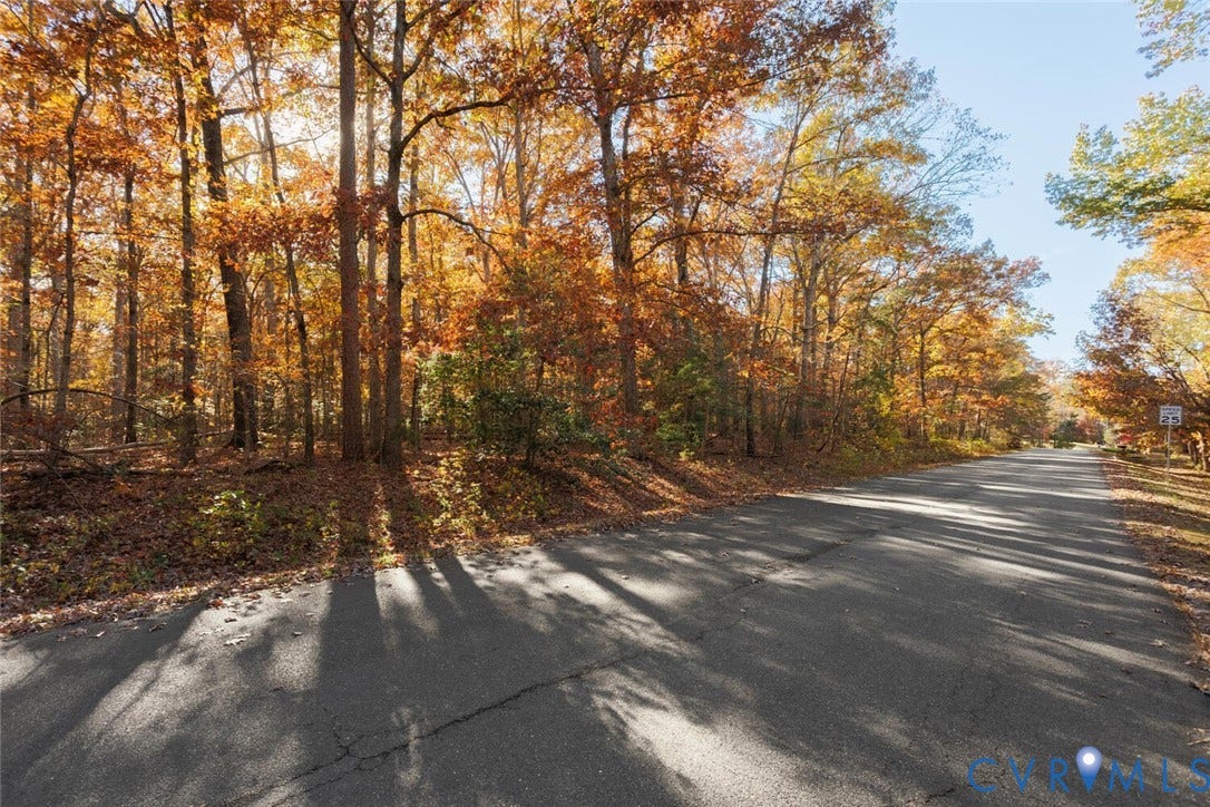 Lot 2 Maidens Road, Maidens, VA 23102 View of asphalt street with a wooded view