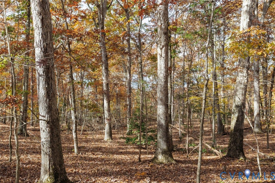 Lot 2 Maidens Road, Maidens, VA 23102 View of wooded area