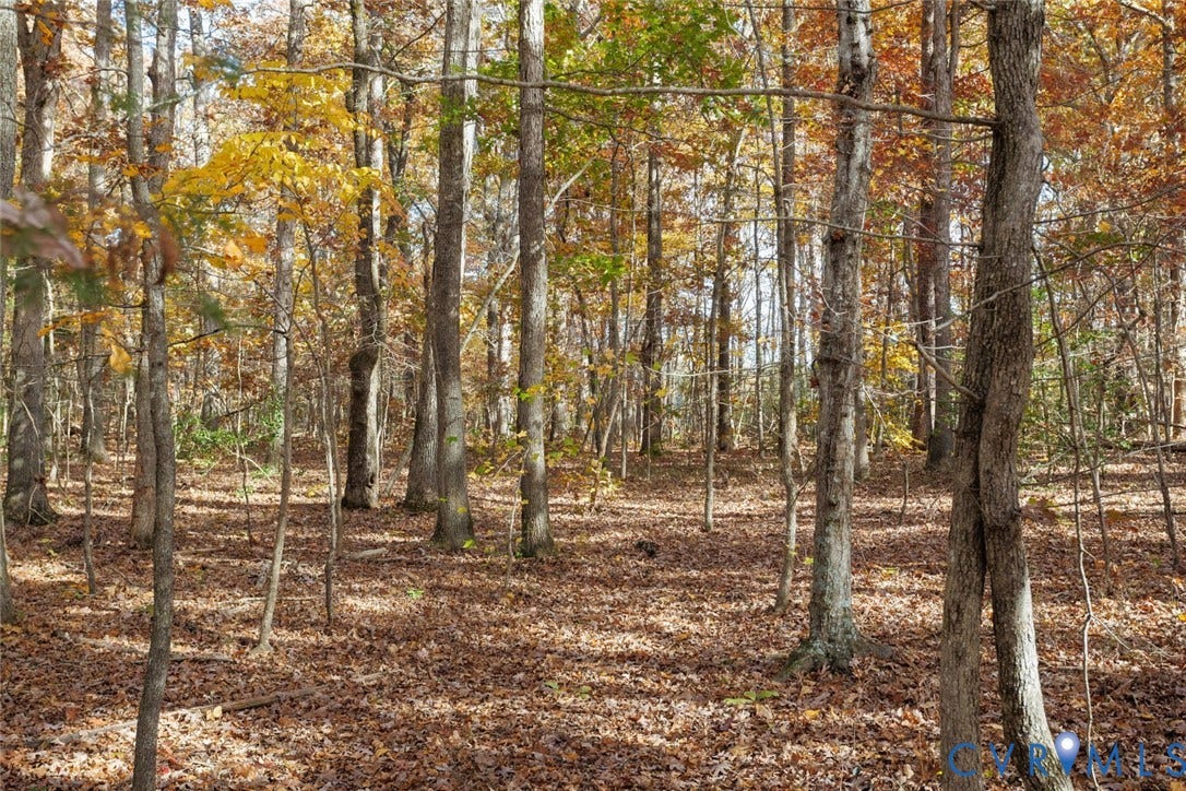 Lot 2 Maidens Road, Maidens, VA 23102 View of undeveloped land