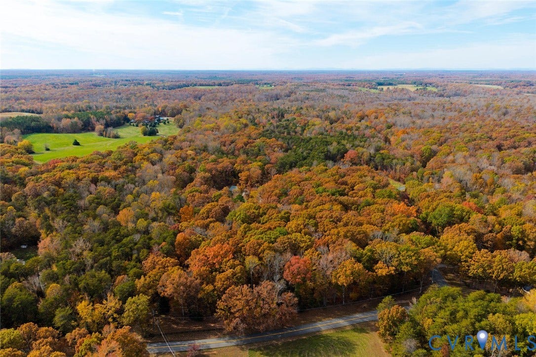 Lot 2 Maidens Road, Maidens, VA 23102 Drone / aerial view of a forest