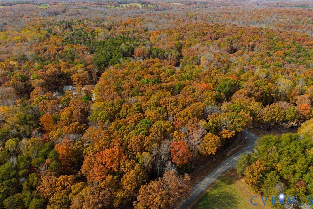 Lot 2 Maidens Road, Maidens, VA 23102 Aerial view of property and surrounding area