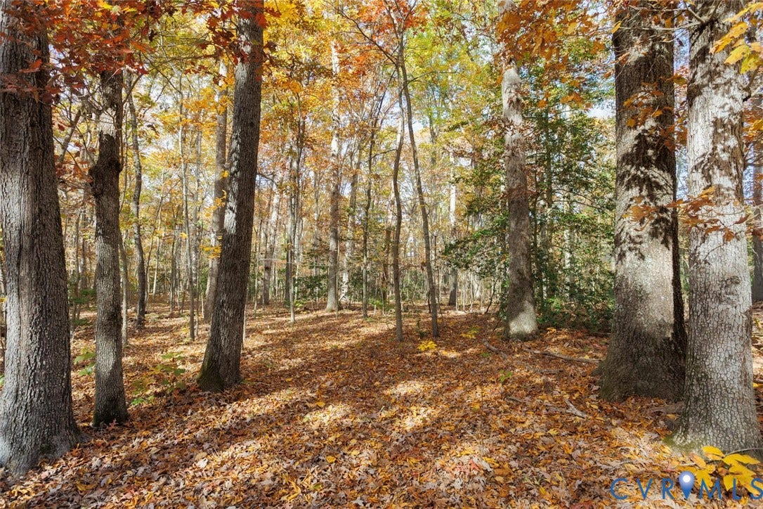 Lot 2 Maidens Road, Maidens, VA 23102 View of wooded area