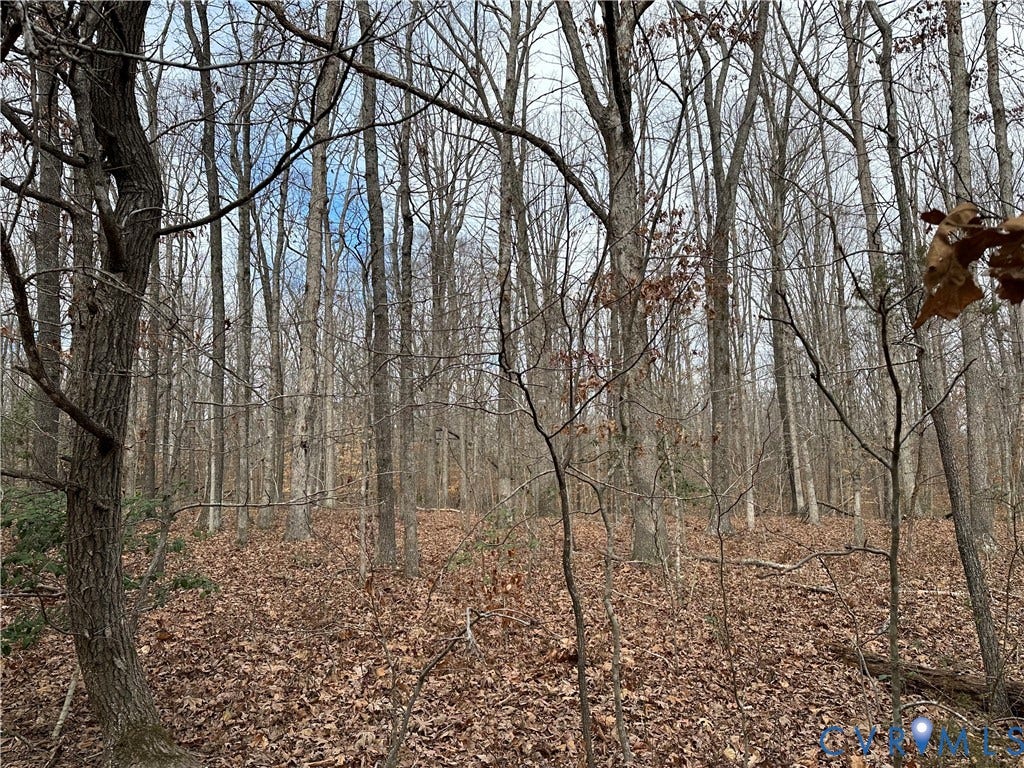 Lot 2 Dogtown Road, Sandy Hook, VA 23063 Lot 2 Dogtown Road, Sandy Hook, VA 23063