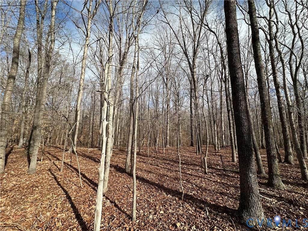 Lot 2 Dogtown Road, Sandy Hook, VA 23063 Lot 2 Dogtown Road, Sandy Hook, VA 23063