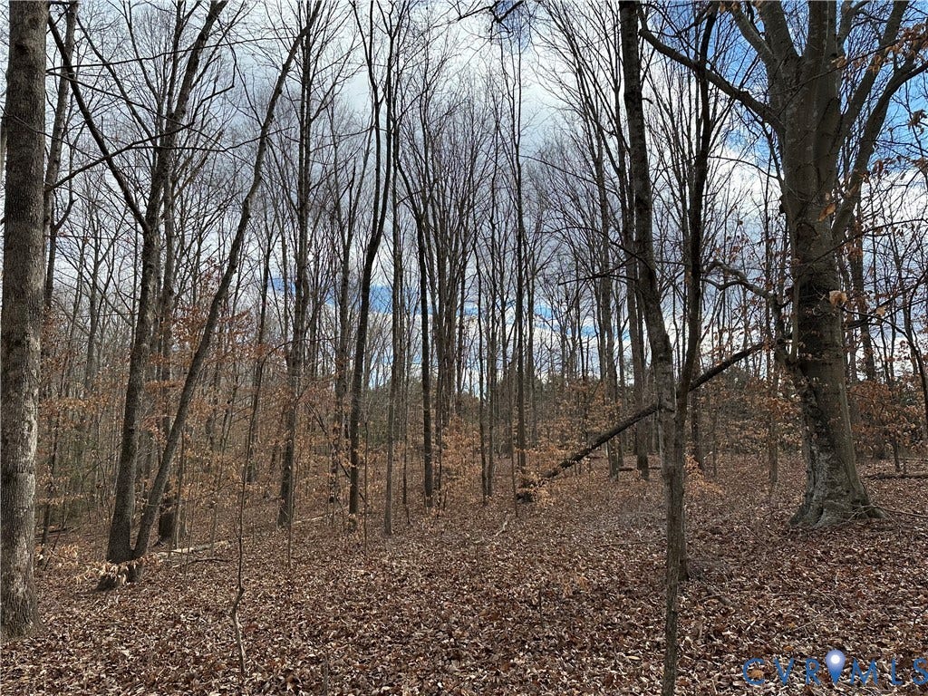 Lot 2 Dogtown Road, Sandy Hook, VA 23063 Lot 2 Dogtown Road, Sandy Hook, VA 23063
