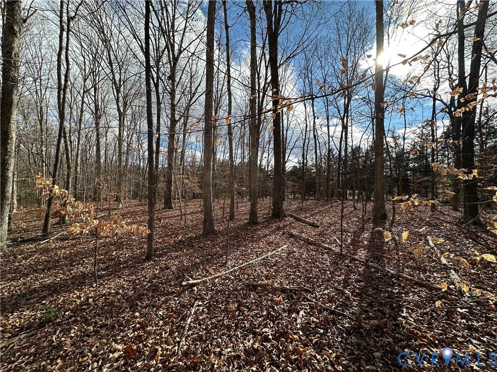 Lot 2 Dogtown Road, Sandy Hook, VA 23063 Lot 2 Dogtown Road, Sandy Hook, VA 23063