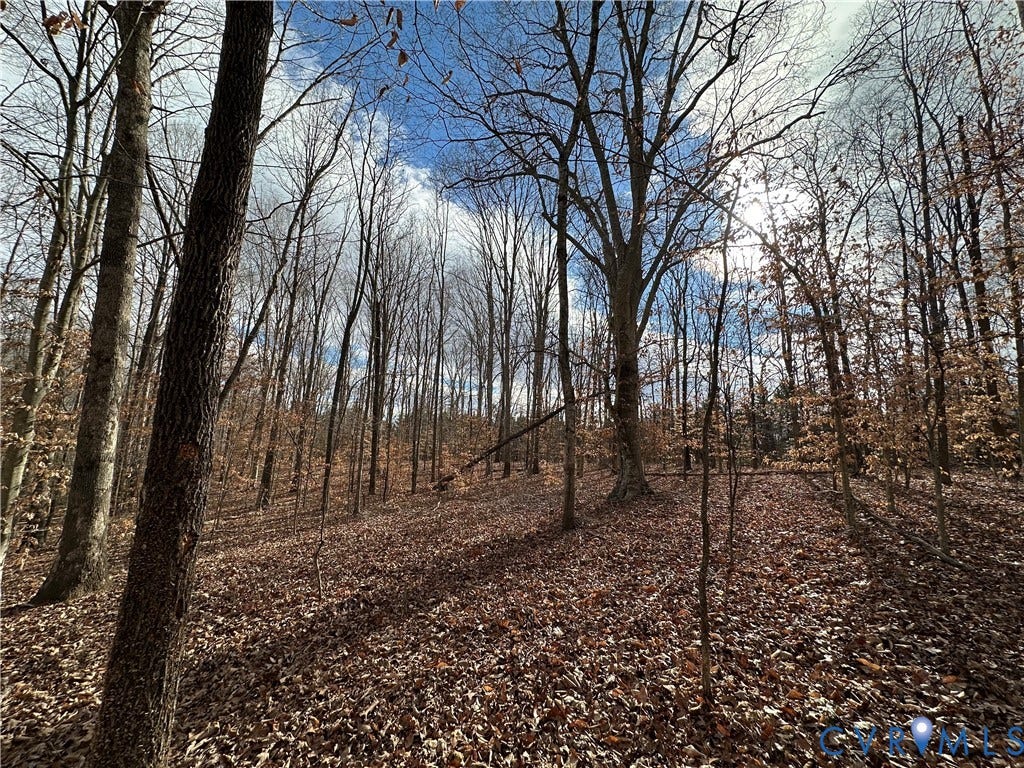 Lot 2 Dogtown Road, Sandy Hook, VA 23063 Lot 2 Dogtown Road, Sandy Hook, VA 23063