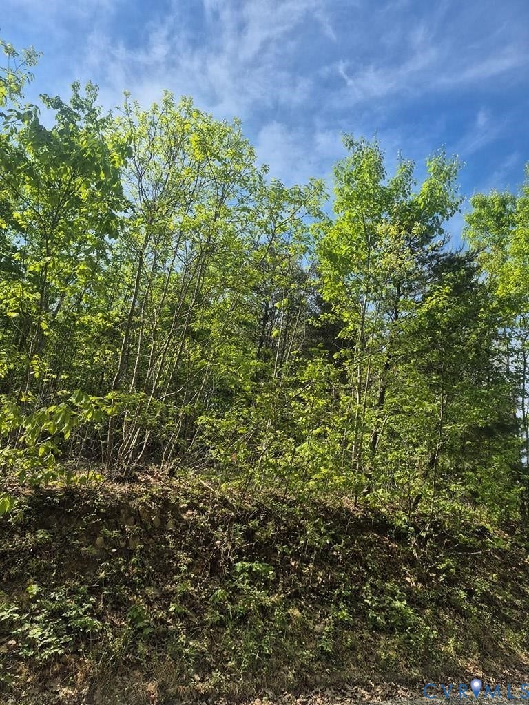 Property photo for Lot 16 Mountain Creek Rd, Green Bay, VA