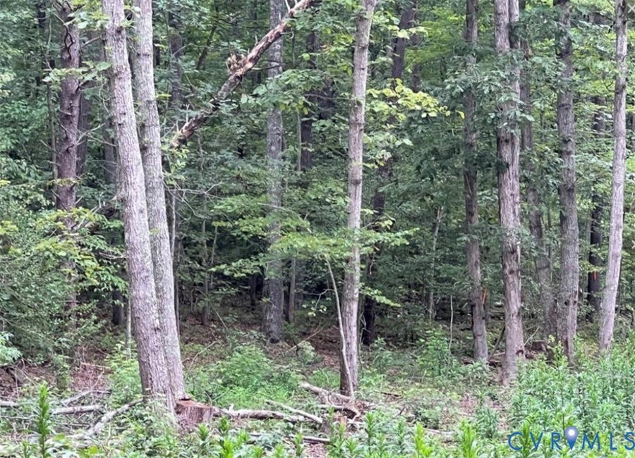 Property photo for 00 Ware Road, Quinton, VA