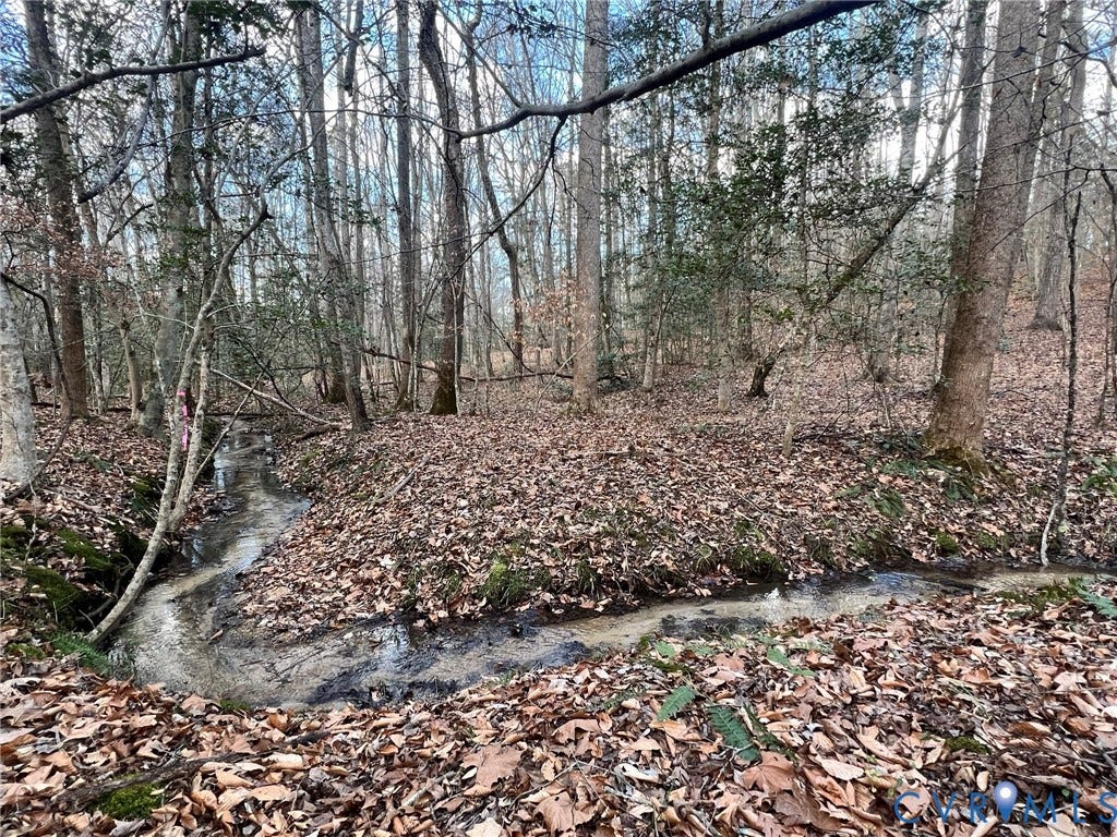 0 Tunstall Road, New Kent, VA 23124 View of nature