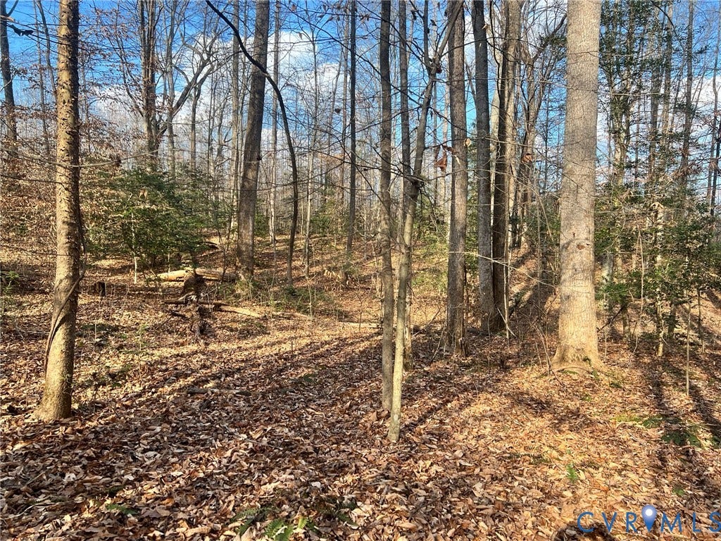 0 Tunstall Road, New Kent, VA 23124 View of nature