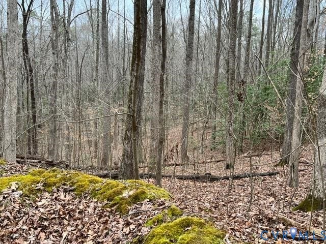 0 Tunstall Road, New Kent, VA 23124 View of undeveloped land