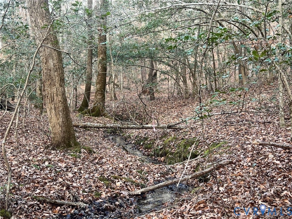 0 Tunstall Road, New Kent, VA 23124 View of nature