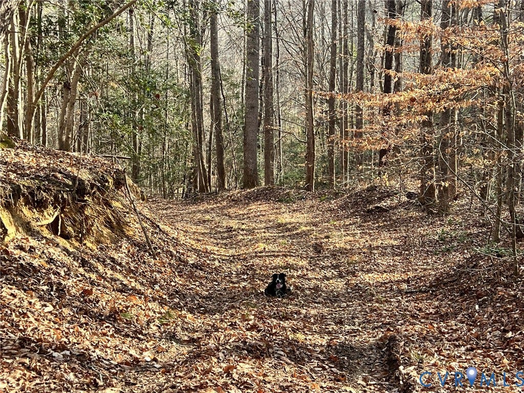 0 Tunstall Road, New Kent, VA 23124 View of tree filled area