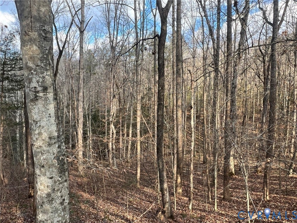 0 Tunstall Road, New Kent, VA 23124 View of undeveloped land