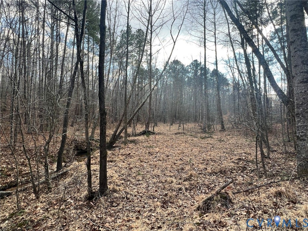0 Tunstall Road, New Kent, VA 23124 View of undeveloped land